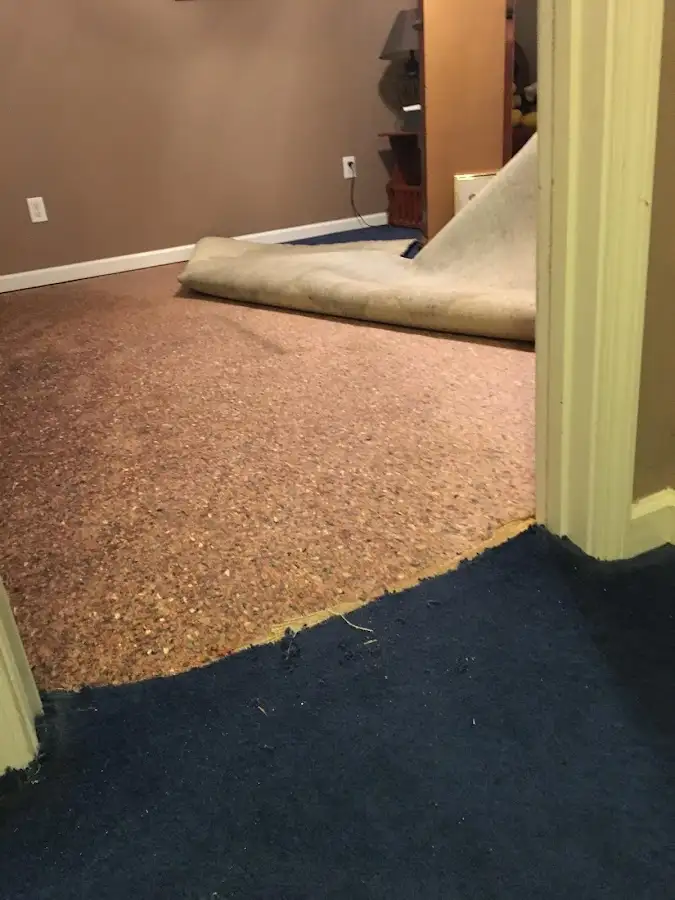 Carpet pad removal revealing water damage during Water Mitigation Services in Woodinville