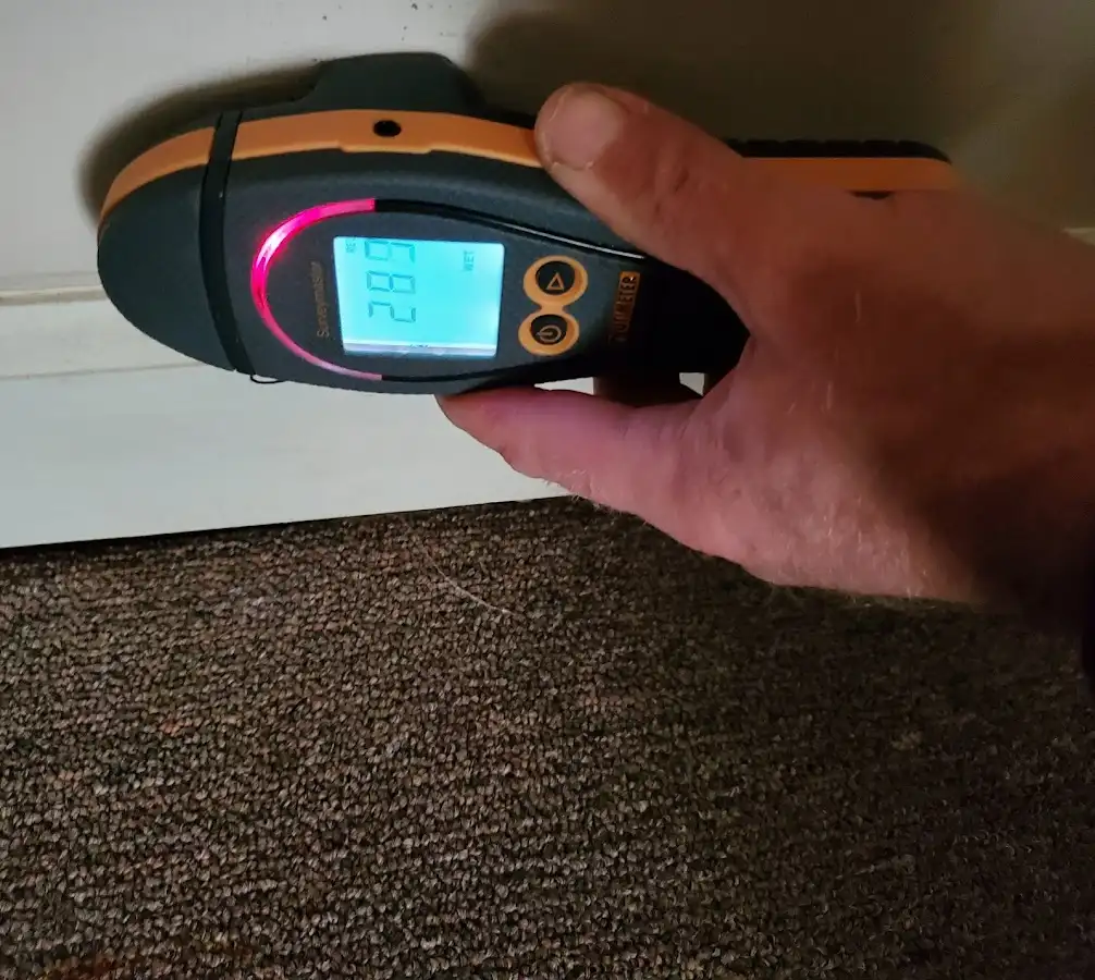 Moisture detection at baseboard during Mold Inspection & Testing in Woodinville