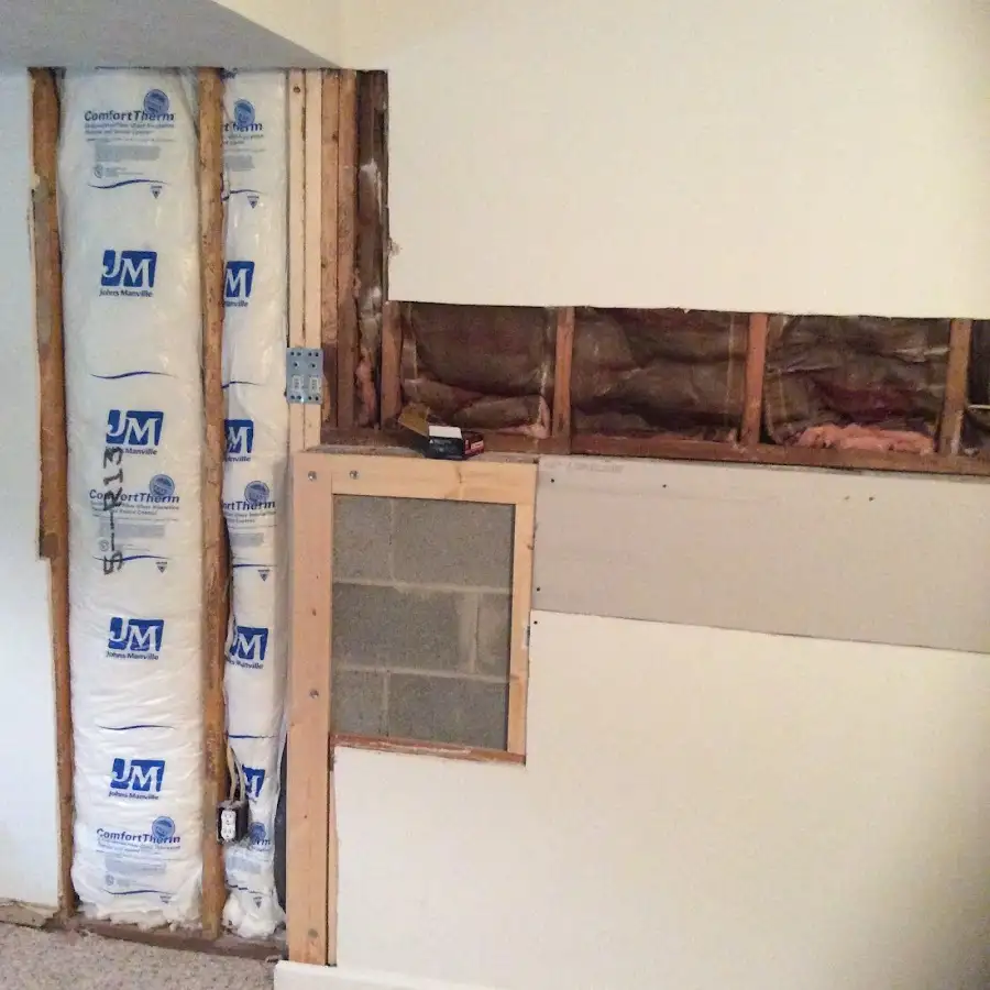 Wall insulation replacement during Odor Removal & Deodorization in Woodinville